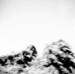 Pay Money To My Pain : Pictures